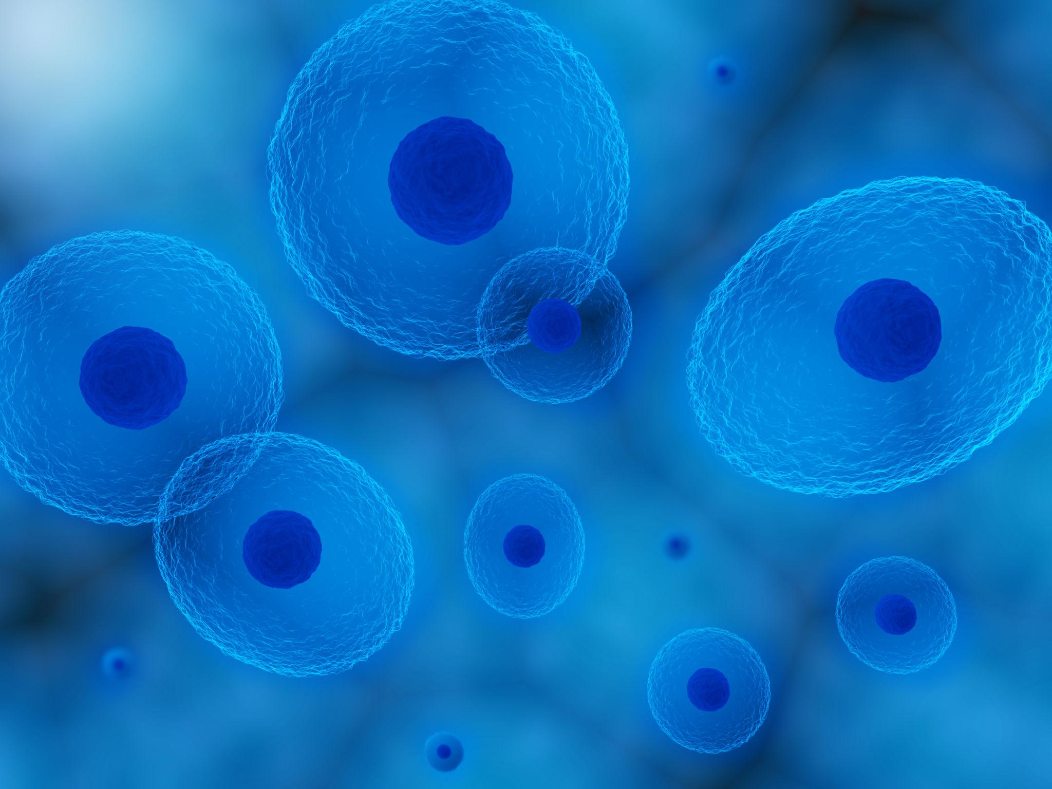 Advanced Cellular Regeneration Technology supporting skin renewal.